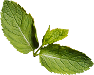 Empresa de comedores industriales en Toluca Edo. de México